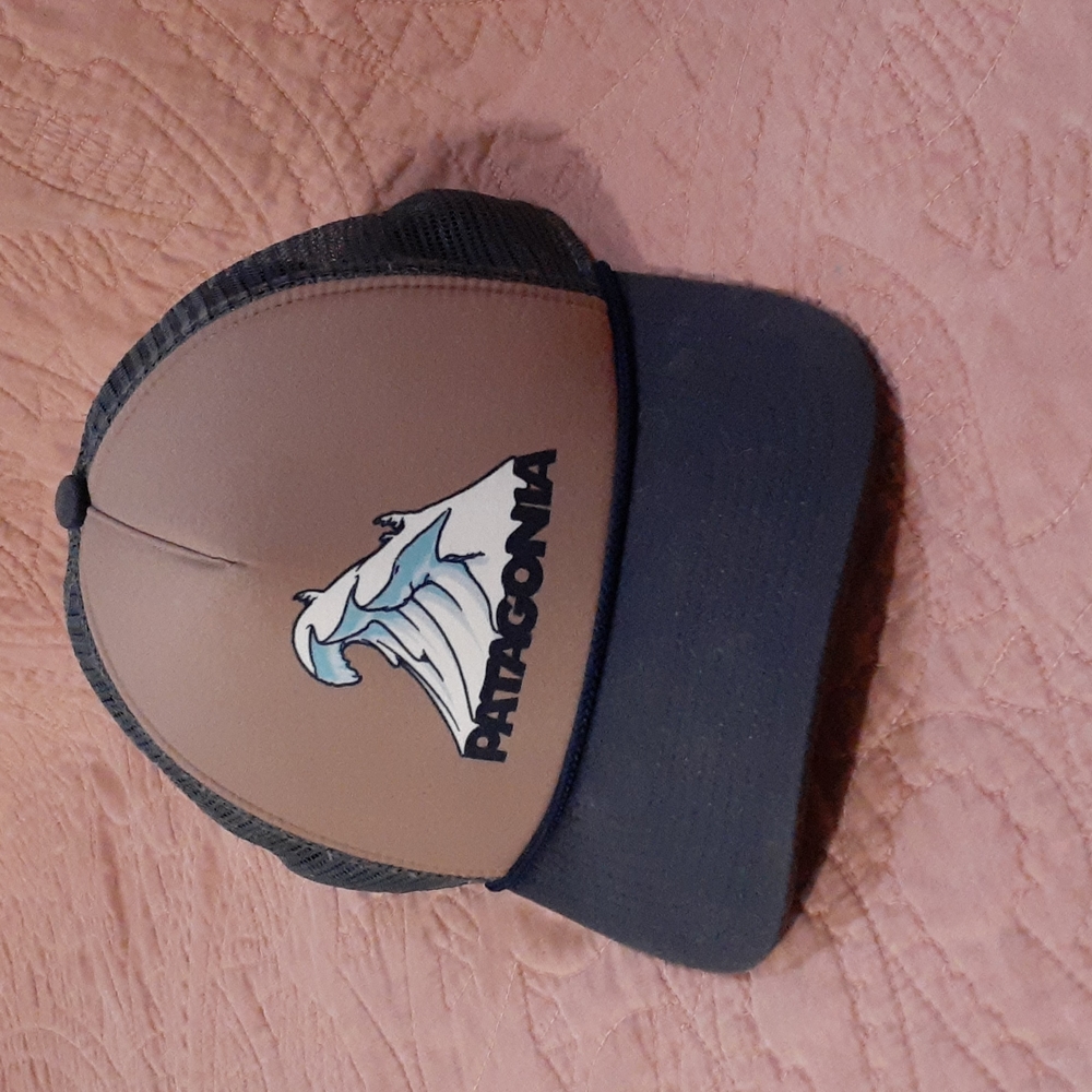 Patagonia Snap Back